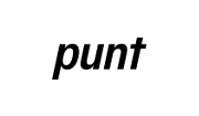 logo-punt